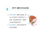 3.1激素与内分泌系统 第1课时 课件【新教材】人教版（2019）高中生物选择性必修一
