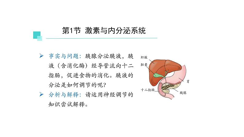 3.1激素与内分泌系统 第1课时 课件【新教材】人教版（2019）高中生物选择性必修一第2页