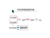 3.1激素与内分泌系统 第2课时 课件【新教材】人教版（2019）高中生物选择性必修一