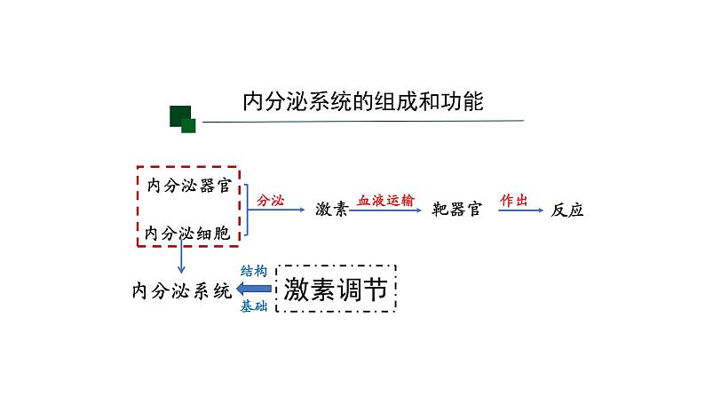 3.1激素与内分泌系统 第2课时 课件【新教材】人教版（2019）高中生物选择性必修一第2页