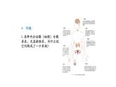 3.1激素与内分泌系统 第2课时 课件【新教材】人教版（2019）高中生物选择性必修一