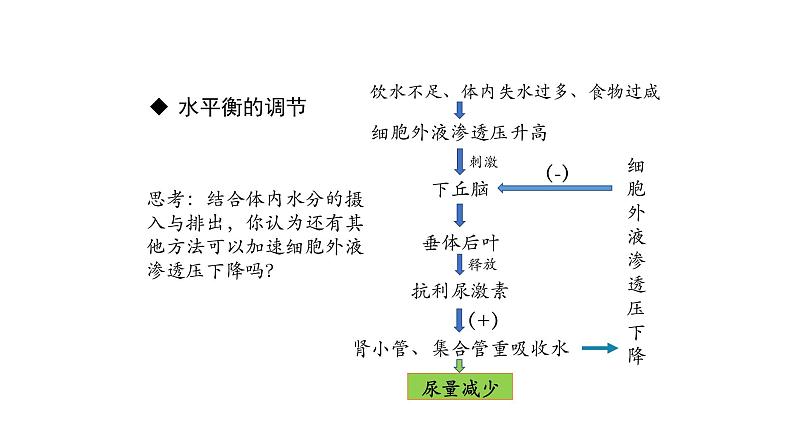 3.3体液调节与神经调节的关系 第2课时 课件【新教材】人教版（2019）高中生物选择性必修一07