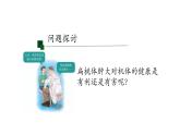4.1免疫系统的组成和功能 课件【新教材】人教版（2019）高中生物选择性必修一