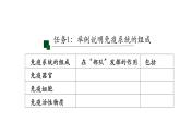 4.1免疫系统的组成和功能 课件【新教材】人教版（2019）高中生物选择性必修一