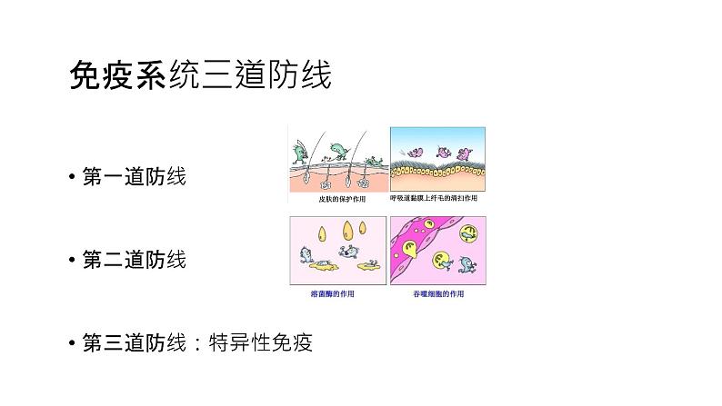 4.2特异性免疫 第1课时 课件【新教材】人教版（2019）高中生物选择性必修一第3页