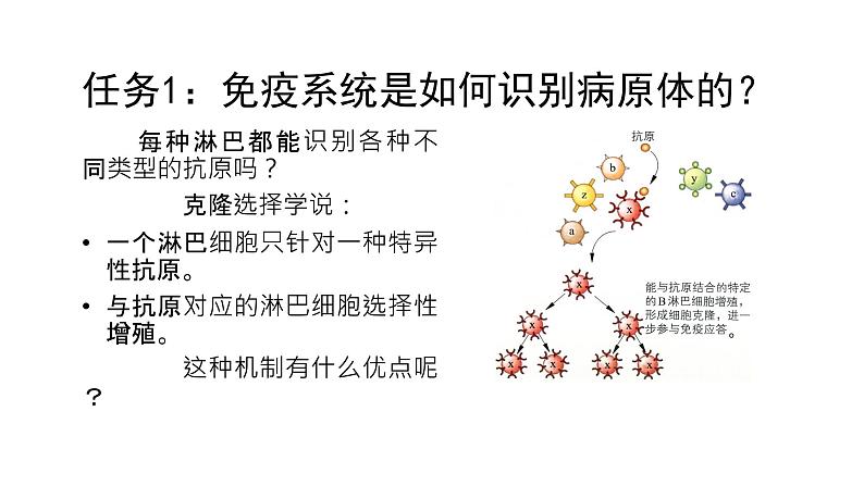 4.2特异性免疫 第1课时 课件【新教材】人教版（2019）高中生物选择性必修一第6页