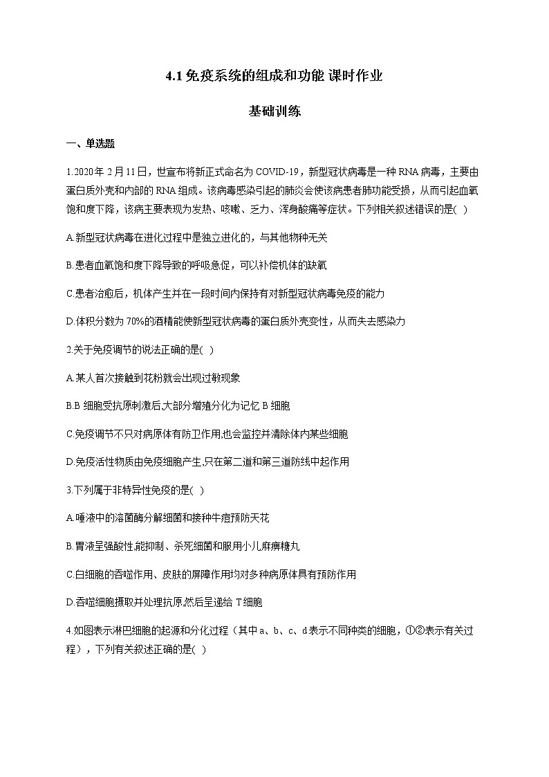 4.1免疫系统的组成和功能（基础训练） 同步练习【新教材】人教版（2019）高中生物选择性必修一01