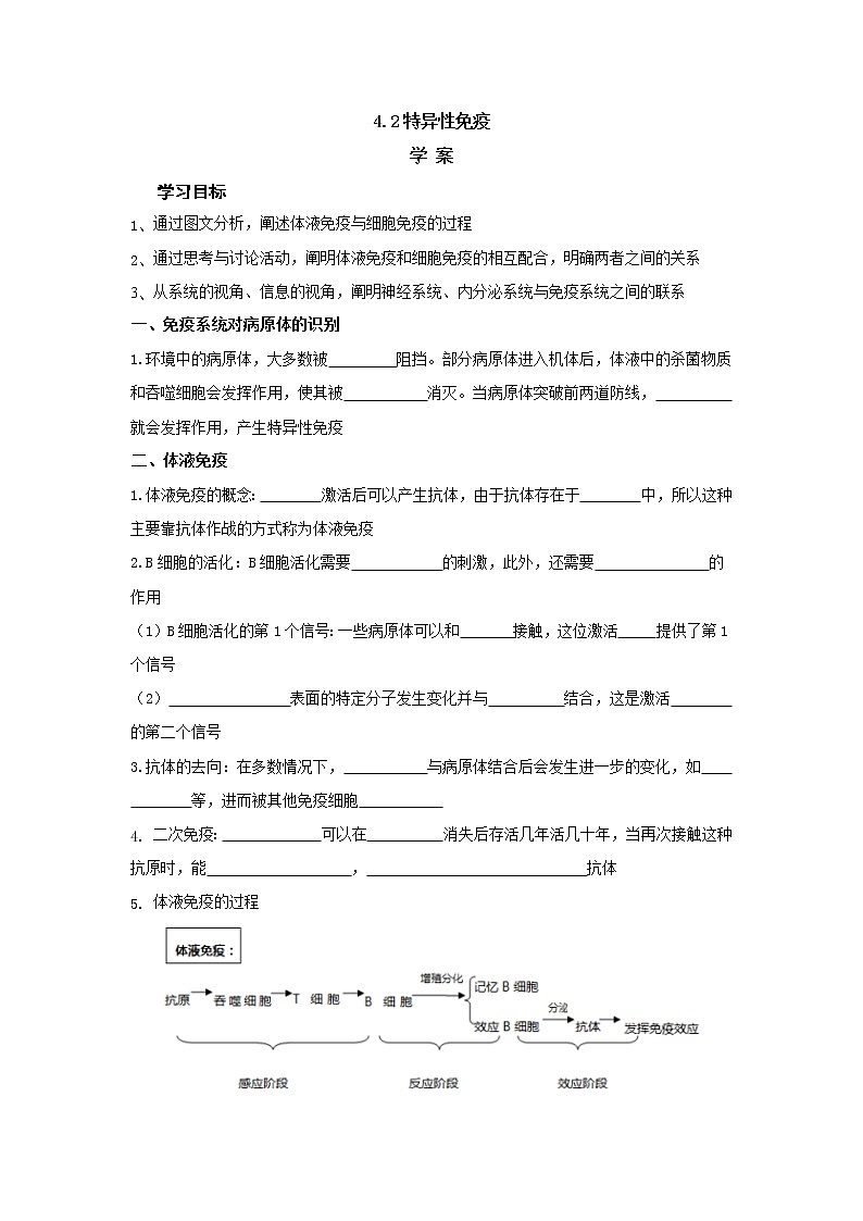 4.2特异性免疫 学案【新教材】人教版（2019）高中生物选择性必修一01