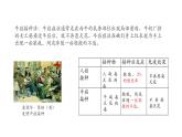 4.4免疫学的应用 课件【新教材】人教版（2019）高中生物选择性必修一