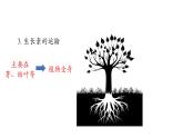 5.1植物生长素 第2课时 课件【新教材】人教版（2019）高中生物选择性必修一
