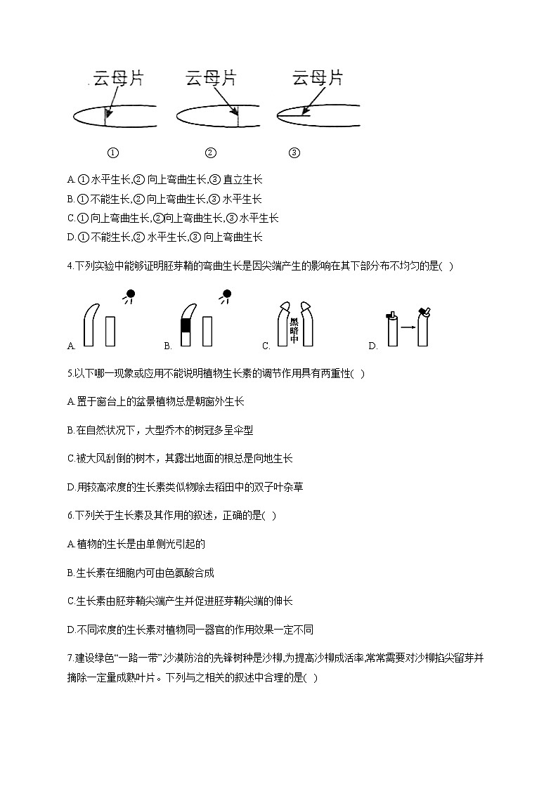 5.1植物生长素（能力提升） 同步练习【新教材】人教版（2019）高中生物选择性必修一02