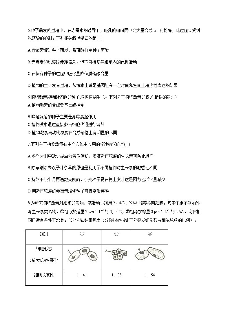 5.2其他植物激素（能力提升） 同步练习【新教材】人教版（2019）高中生物选择性必修一02