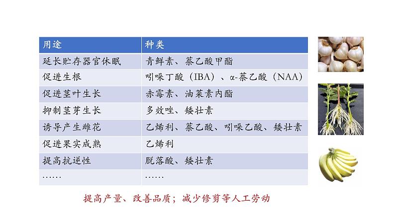 5.3植物生长调节剂的应用 课件【新教材】人教版（2019）高中生物选择性必修一第7页