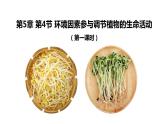 5.4环境因素参与调节植物的生命活动 第1课时 课件【新教材】人教版（2019）高中生物选择性必修一