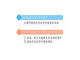 5.4环境因素参与调节植物的生命活动（第二课时） 课件【新教材】人教版（2019）高中生物选择性必修一
