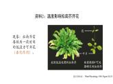 5.4环境因素参与调节植物的生命活动（第二课时） 课件【新教材】人教版（2019）高中生物选择性必修一