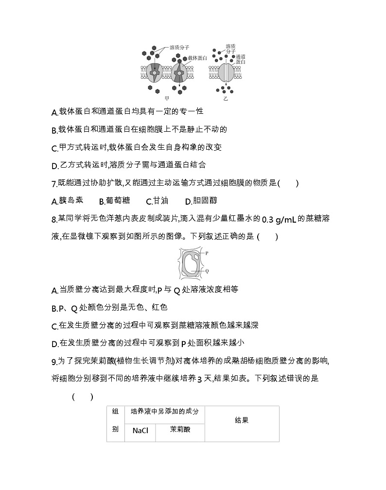 第四章达标检测-2022版生物必修第一册人教版（2019） 同步练习 （Word含解析）03