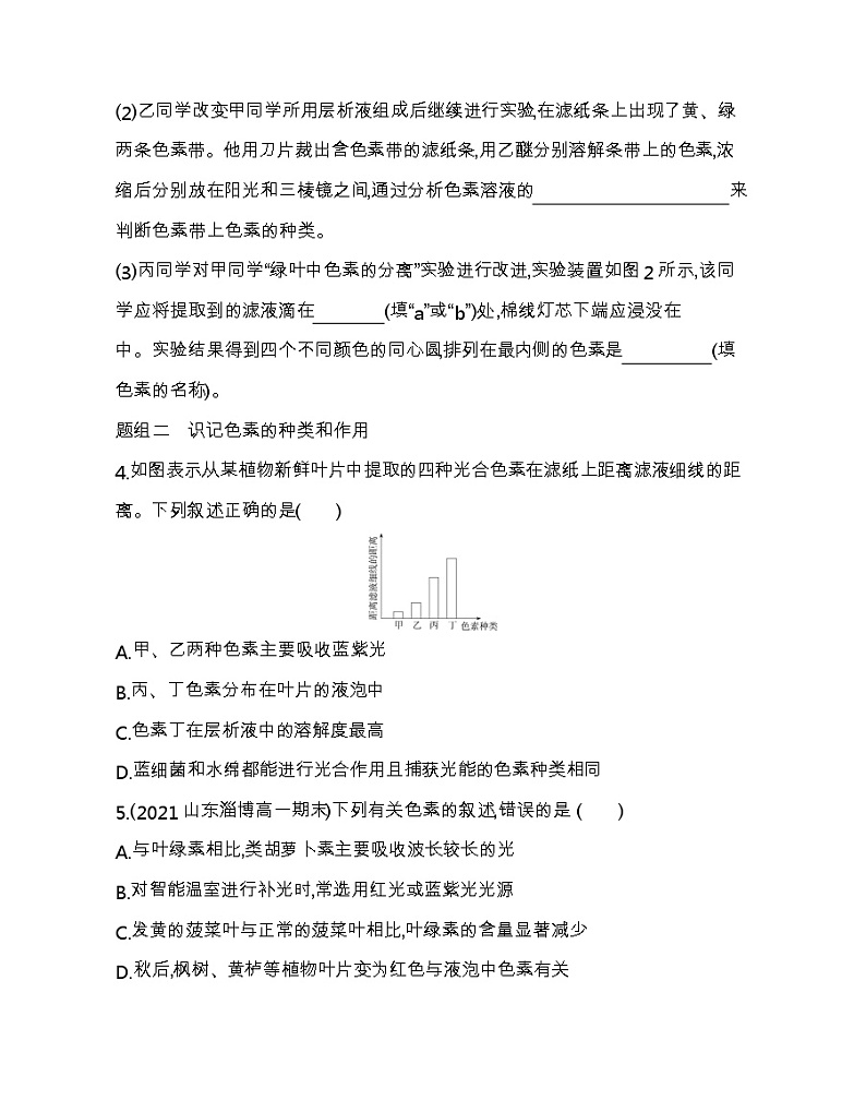 第4节　光合作用与能量转化-2022版生物必修第一册人教版（2019） 同步练习 第2页