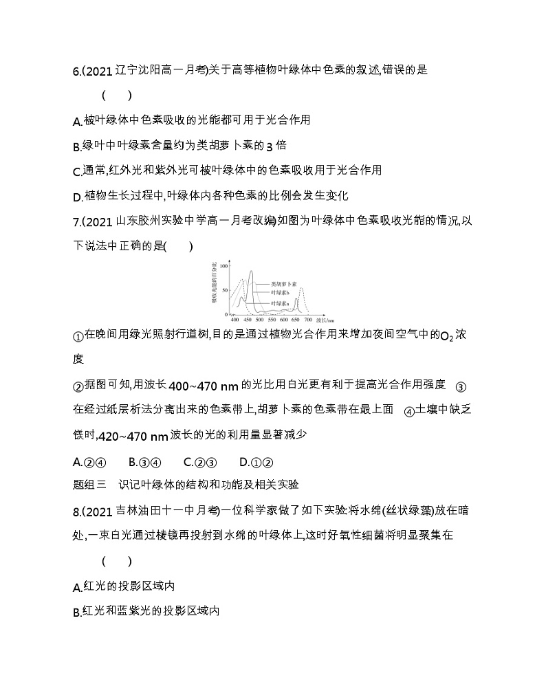 第4节　光合作用与能量转化-2022版生物必修第一册人教版（2019） 同步练习 第3页
