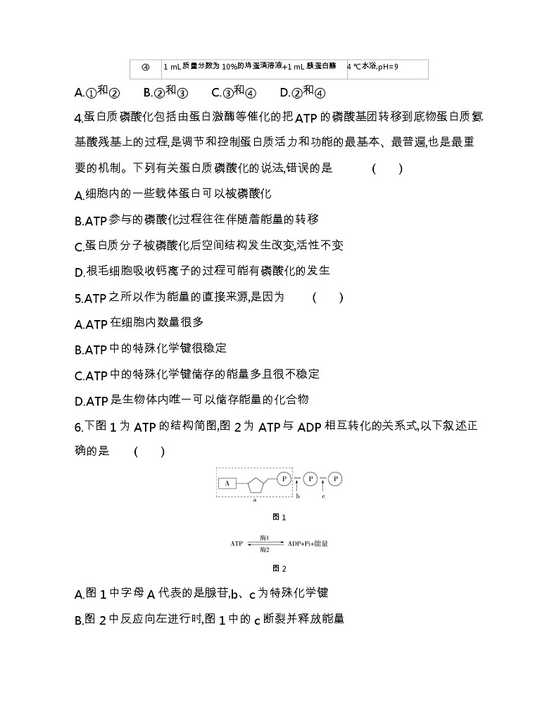 第五章达标检测-2022版生物必修第一册人教版（2019） 同步练习 （Word含解析）02