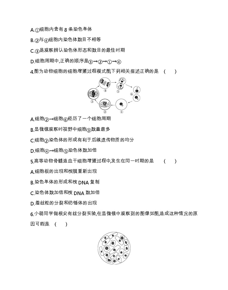 第六章达标检测-2022版生物必修第一册人教版（2019） 同步练习 （Word含解析）02