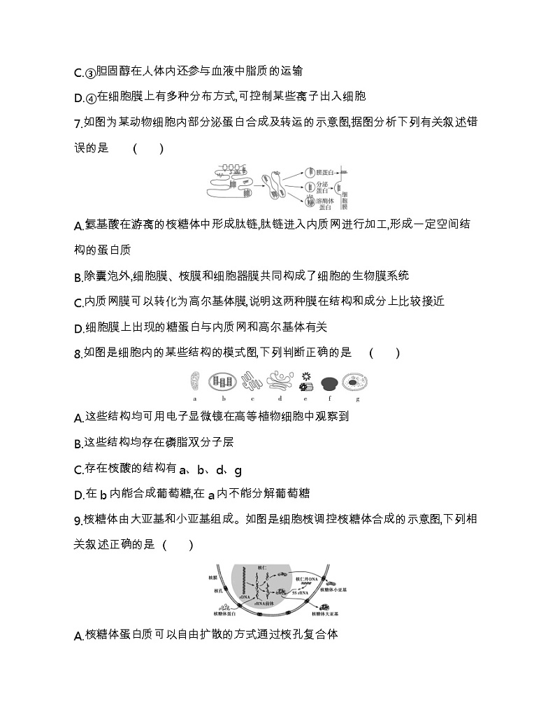 全书综合测评-2022版生物必修第一册人教版（2019） 同步练习 第3页