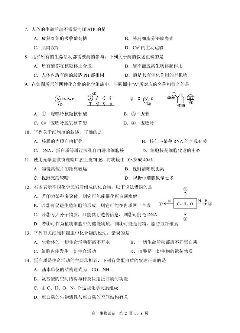 四川省凉山州西昌市2021-2022学年高一上学期期末检测生物试卷（PDF版）第2页