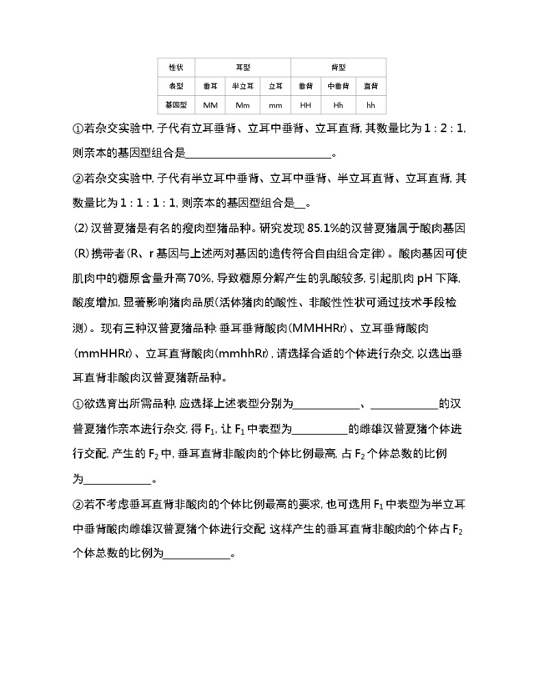 第一章复习提升-2022版生物必修第二册人教版（2019） 同步练习 （Word含解析）第2页