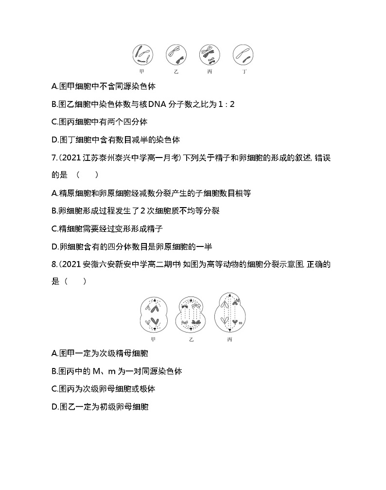 第1节　减数分裂和受精作用-2022版生物必修第二册人教版（2019） 同步练习 （Word含解析）第3页