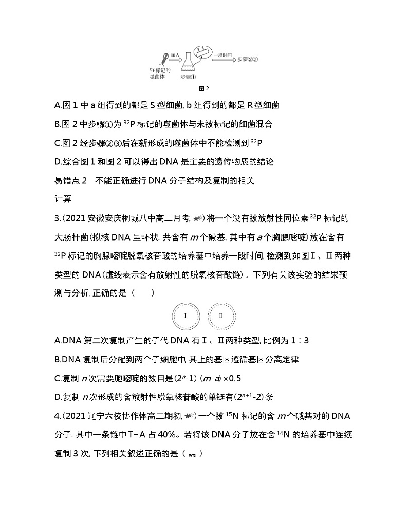 第三章复习提升-2022版生物必修第二册人教版（2019） 同步练习 （Word含解析）第2页