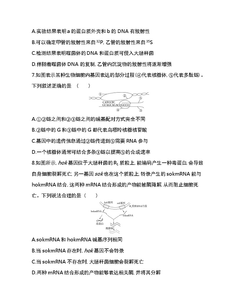 全书综合测评-2022版生物必修第二册人教版（2019） 同步练习 （Word含解析）03