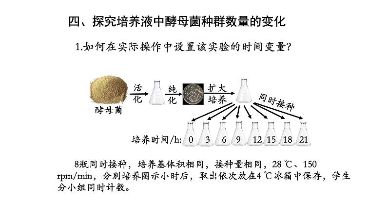 1.2种群数量的变化（第二课时）课件【新教材】人教版（2019）高中生物选择性必修二04