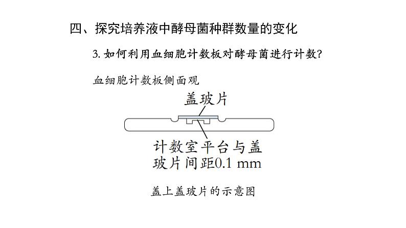 1.2种群数量的变化（第二课时）课件【新教材】人教版（2019）高中生物选择性必修二07