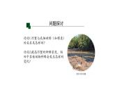 2.1群落的结构（第一课时）课件【新教材】人教版（2019）高中生物选择性必修二
