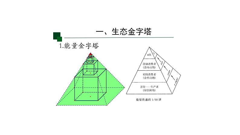 3.2生态系统的能量流动（第二课时）课件【新教材】人教版（2019）高中生物选择性必修二第6页