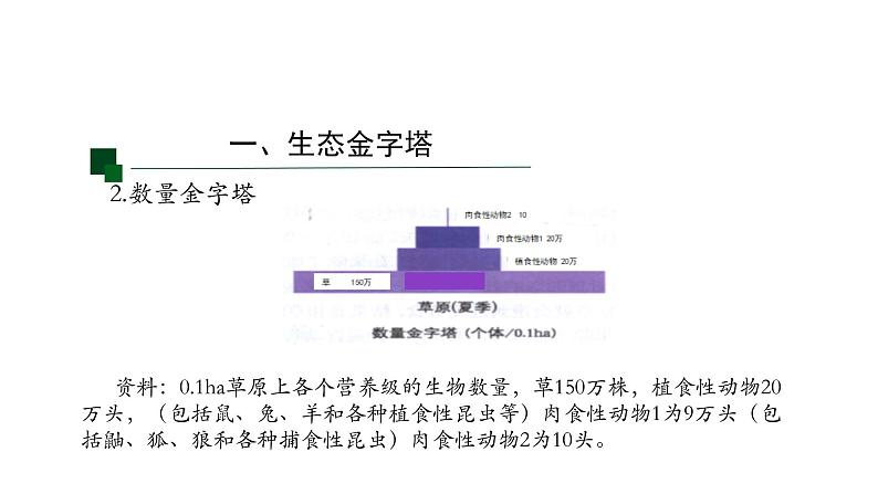 3.2生态系统的能量流动（第二课时）课件【新教材】人教版（2019）高中生物选择性必修二第7页