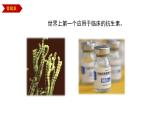 1.3  发酵工程及其应用 课件【新教材】 人教版（2019）高二生物选择性必修三