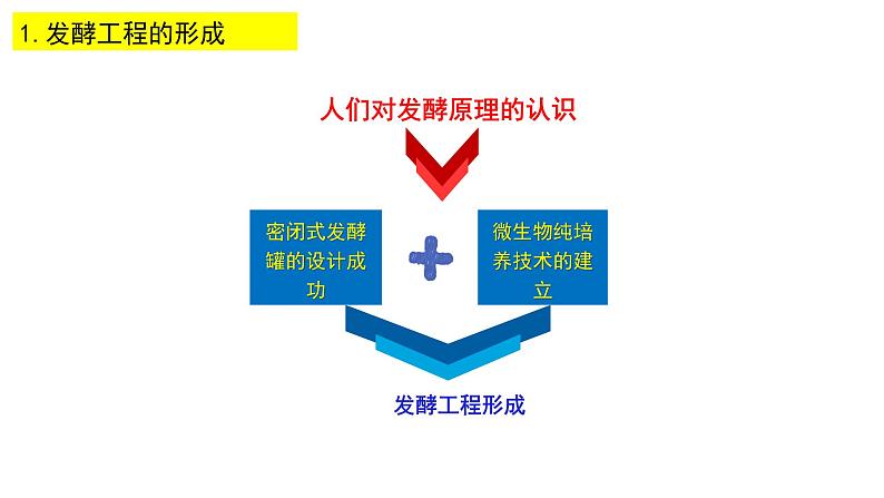 1.3  发酵工程及其应用 课件【新教材】 人教版（2019）高二生物选择性必修三05