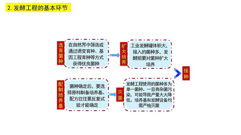 1.3  发酵工程及其应用 课件【新教材】 人教版（2019）高二生物选择性必修三06