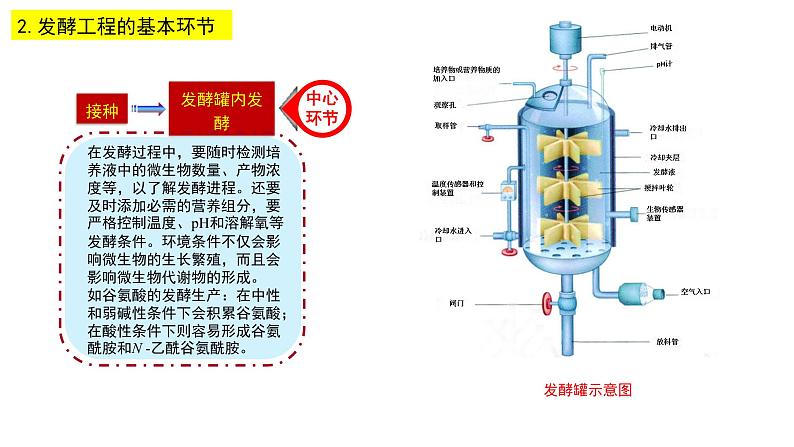 1.3  发酵工程及其应用 课件【新教材】 人教版（2019）高二生物选择性必修三07