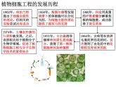 2.1.1 植物细胞工程的基本技术 课件【新教材】人教版（2019）高二生物选择性必修三