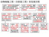 2.2.1 動物細胞培養(yǎng) 課件【新教材】 人教版（2019）高二生物選擇性必修三