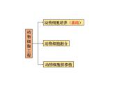 2.2.1 動物細胞培養(yǎng) 課件【新教材】 人教版（2019）高二生物選擇性必修三
