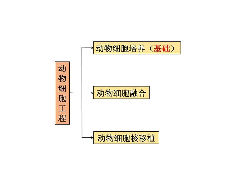 2.2.1 动物细胞培养 课件【新教材】 人教版（2019）高二生物选择性必修三04