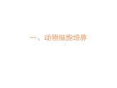 2.2.1 動物細胞培養(yǎng) 課件【新教材】 人教版（2019）高二生物選擇性必修三