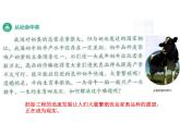 2.3.1 胚胎工程的理論基礎(chǔ) 課件【新教材】 人教版（2019）高二生物選擇性必修三
