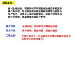 2.3.1 胚胎工程的理論基礎(chǔ) 課件【新教材】 人教版（2019）高二生物選擇性必修三