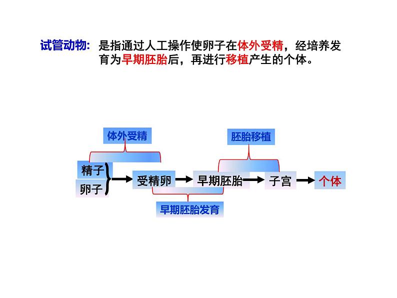 2.3.2 胚胎工程技术及其应用 课件【新教材】人教版（2019）高二生物选择性必修三04