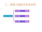 2.3.2 胚胎工程技術(shù)及其應(yīng)用 課件【新教材】人教版（2019）高二生物選擇性必修三