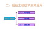 2.3.2 胚胎工程技术及其应用 课件【新教材】人教版（2019）高二生物选择性必修三